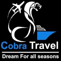 Cobra Travel Compnay